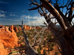 UTAH Kodachrome State Park